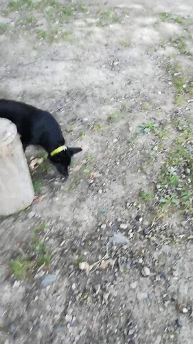 U Letního kina 1506/4, 736 01 Havířov 1-Město