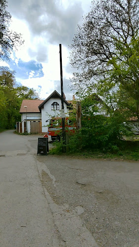 Restaurace U krále Václava IV.