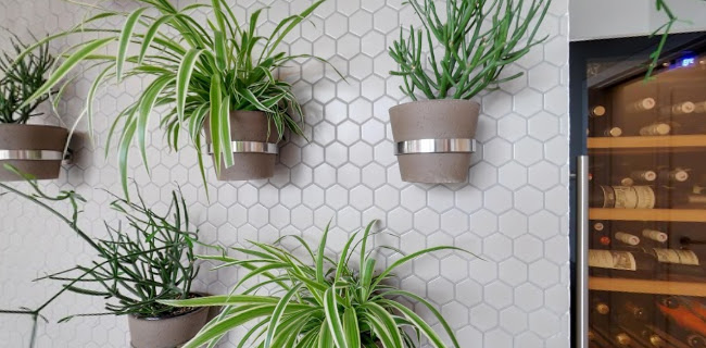 Palackého nám. 1600, 665 01 Rosice u Brna