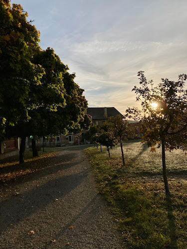 Palasio - Pražírna kávy & galerie - Rochlov