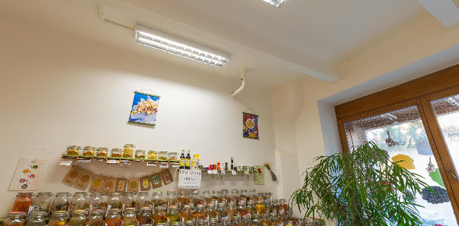 Rooseveltova 790/45, 160 00 Praha 6-Bubeneč