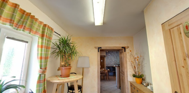 Comentarii opinii despre Salaš Mlýn