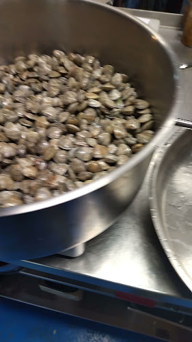 Tartaruga - Česká Lípa