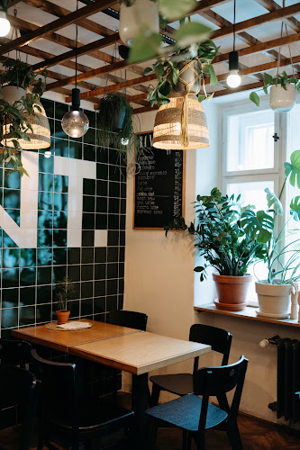 Slezská 62, 120 00 Praha 2-Vinohrady