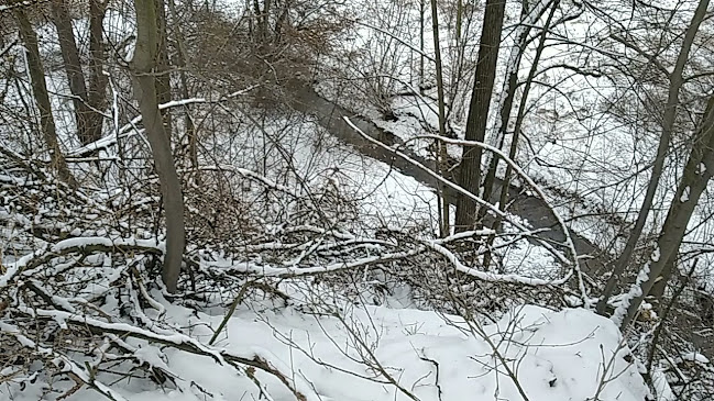Opinii despre Plesenská kafrárna - kavárna a vinárna în Ostrava - Gastronomie a pohostinství