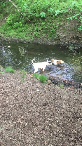 Zelená louka 451/1, 148 00 Praha-Kunratice