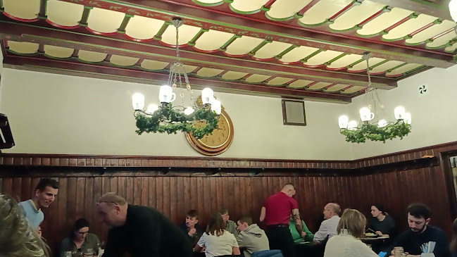 Comentarii opinii despre Restaurace a pivovar U Fleků