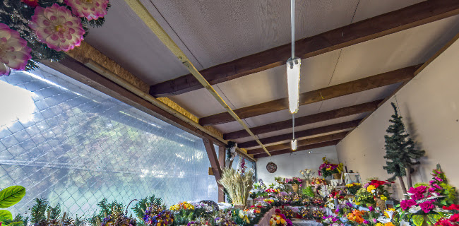 Opinii despre Květinová cukrárna u Natálie în Frýdek-Místek - Gastronomie a pohostinství