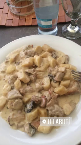 Opinii despre Restaurace U Labutí în Praha - Gastronomie a pohostinství