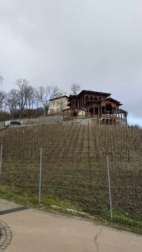 Comentarii opinii despre Viniční altán