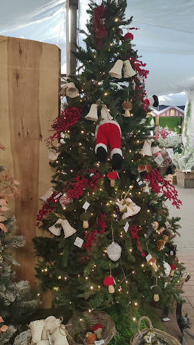 Café Dvořák a syn - Gastronomie a pohostinství