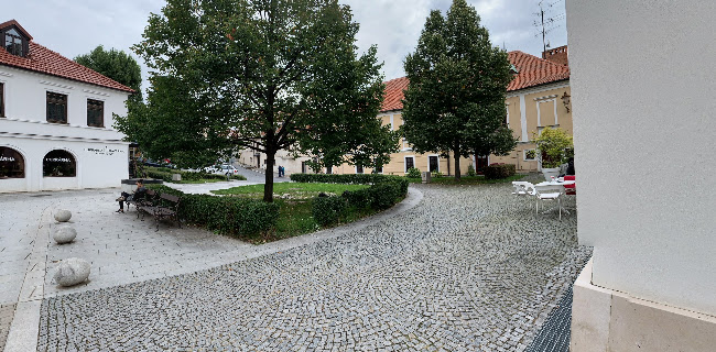 Opinii despre Vinotéka U Čápa în Mikulov - Gastronomie a pohostinství