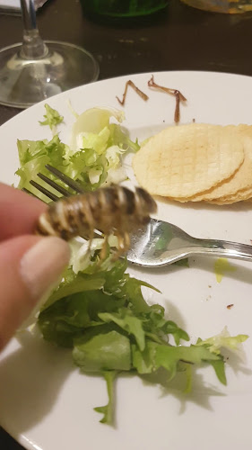 Opinii despre Restaurace Klub cestovatelů în Brno - Gastronomie a pohostinství