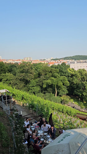 Opinii despre Viniční altán în Praha - Gastronomie a pohostinství