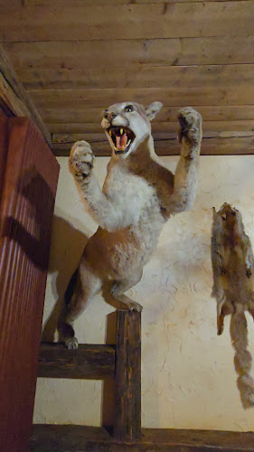 Kulturní zařízení U Jurčíka - Český Těšín