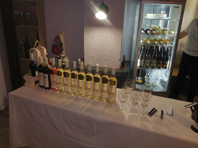 Opinii despre Restaurace DIVADELNÍ KLUB în Police nad Metují - Gastronomie a pohostinství