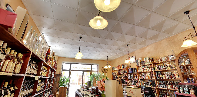 Comentarii opinii despre Vinotéka & Alkotéka STYLE