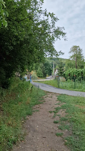 Opinii despre U Ebuš în Praha - Gastronomie a pohostinství