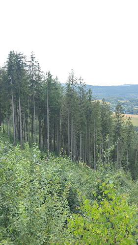 Chata Proseč - Gastronomie a pohostinství