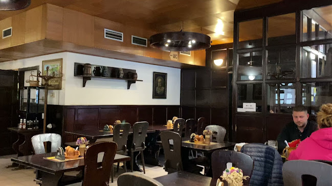 Opinii despre Pivnice U Švejků în Malá Strana - Gastronomie a pohostinství