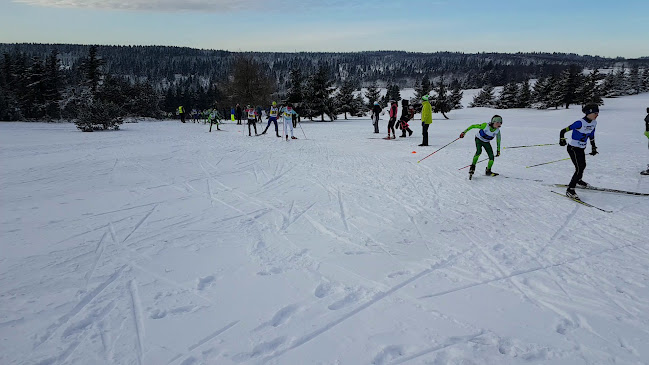 Hotel a restaurace Krušnohorský Dvůr - Gastronomie a pohostinství