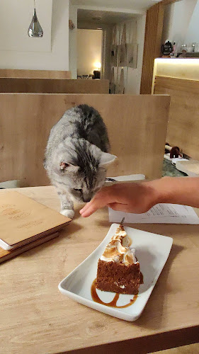 Kavárna Kočičí Praha