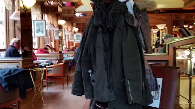 Opinii despre Restaurace U Zlaté koule în Mariánské Lázně - Gastronomie a pohostinství