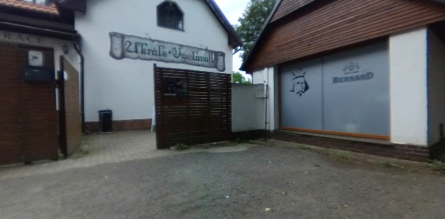 Restaurace U krále Václava IV.