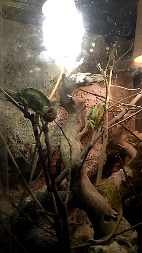 Hostinec U Dvora - Gastronomie a pohostinství