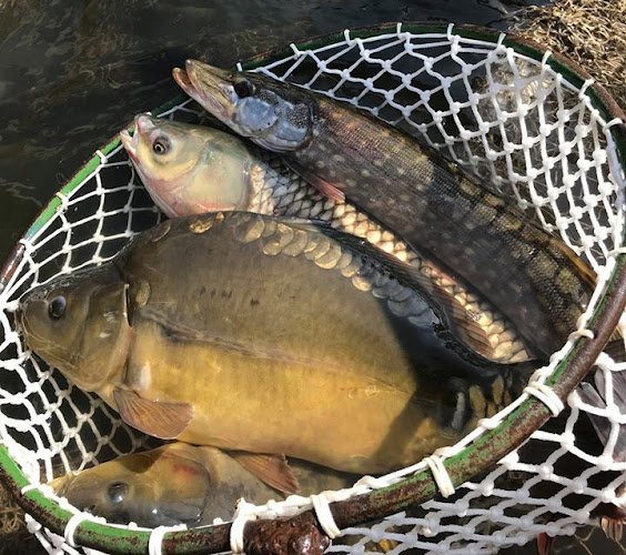 Šumvald 364, 783 85 Šumvald