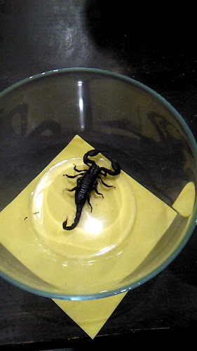 Veleslavínova 183/14, 612 00 Brno-Královo Pole