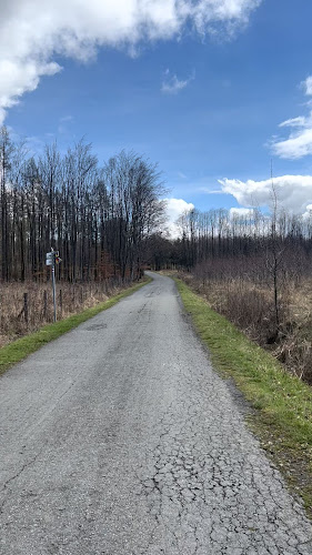 Opinii despre Chata Hubert în Olomouc - Gastronomie a pohostinství