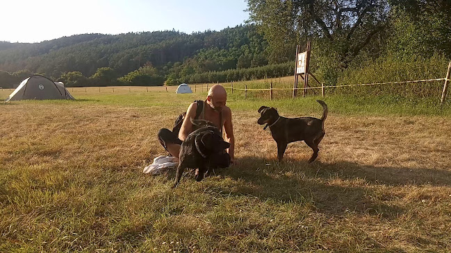 Areál Na Rybárně Rakolusky - Plzeň