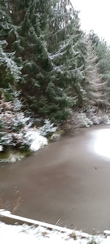 Restaurace U draka - Gastronomie a pohostinství