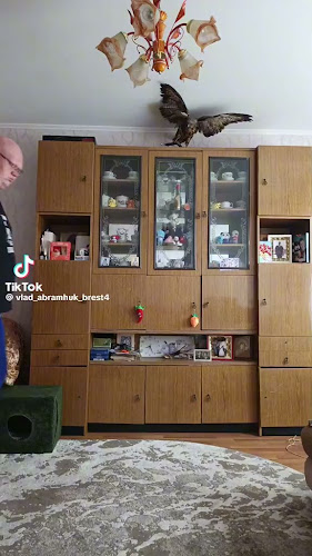 Dolly Burger - Liberec