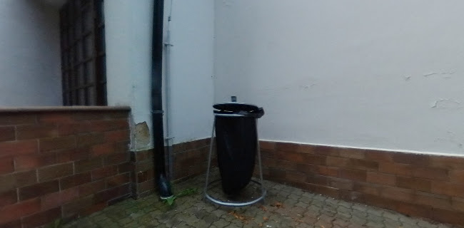 Opinii despre Restaurace U krále Václava IV. în Praha - Gastronomie a pohostinství