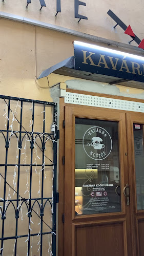Comentarii opinii despre Kavárna Kočičí Praha