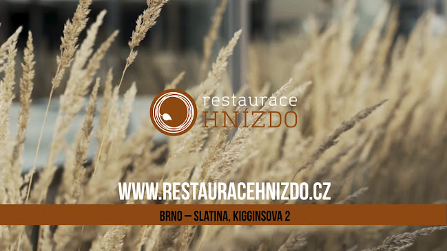Opinii despre Restaurace Hnízdo în Slatina - Gastronomie a pohostinství