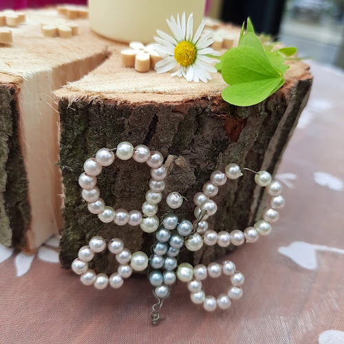 Restaurace Astra Svitavy - Svitavy