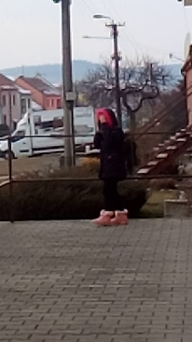 Restaurace U Slavíků