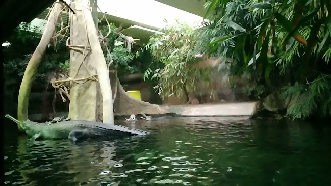 Restaurace Svatá Klára