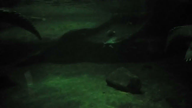 Restaurace Svatá Klára - Gastronomie a pohostinství