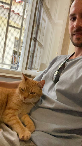 Kavárna Kočičí Praha - Gastronomie a pohostinství