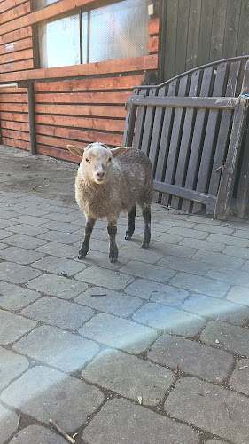 Lovecká chata - Gastronomie a pohostinství