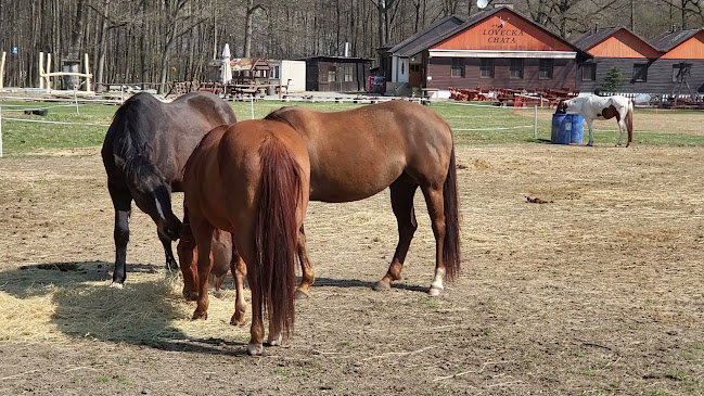 Lovecká chata - Olomouc