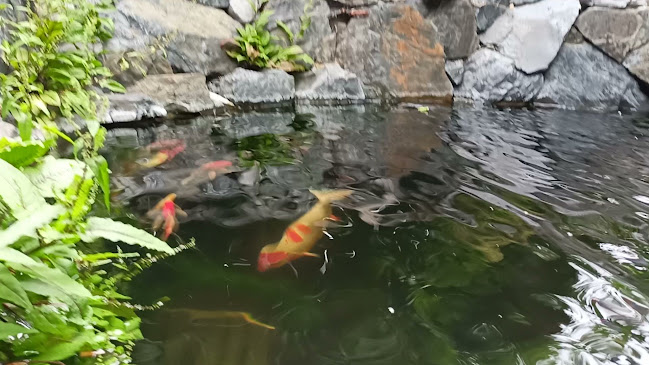 Comentarii opinii despre Restaurace U Macků