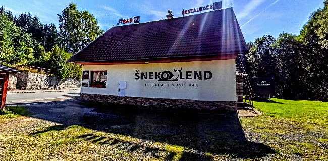 Opinii despre ŠNEKOLEND MUSIC & COCKTAIL BAR s ubytováním în Horní Rokytnice - Gastronomie a pohostinství