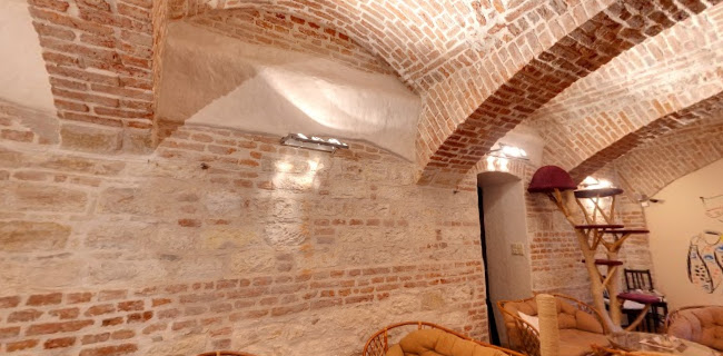 Opinii despre Kavárna Kočičí Praha în Staré Město - Gastronomie a pohostinství