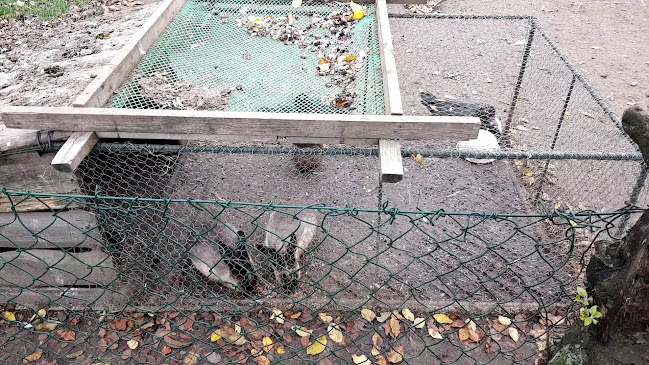 JINE KAFE - Cannabís Social Club - Ostrava