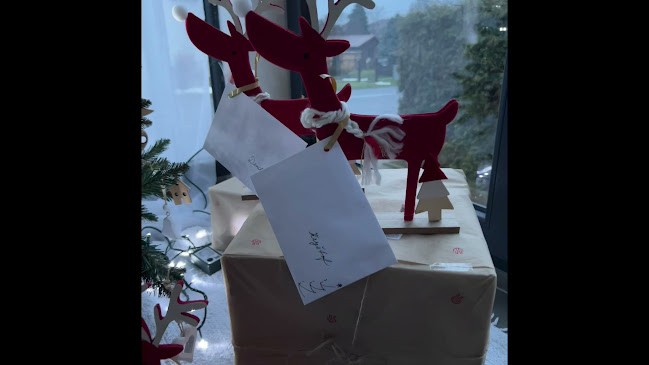 Comentarii opinii despre Restaurace a penzion U Hasičů